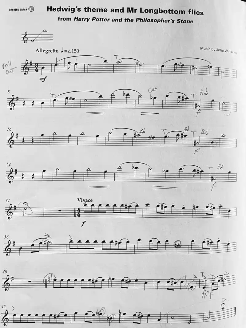 海德薇变奏曲 长笛谱 点赞收藏自取哟 免费附带小哥哥的笔记小圈圈