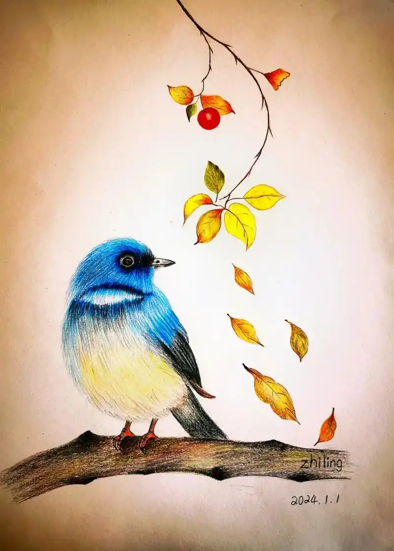 来咯来咯,又一只小可爱来咯#彩铅手绘 #花鸟画 #一起学画画 - 抖音