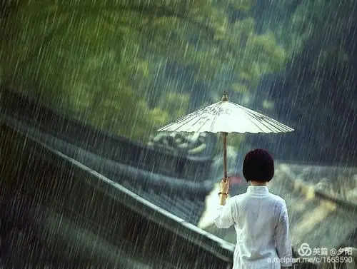 但是还是喜欢雨, 喜欢下雨的时候, 一个人坐在窗前, 数雨滴
