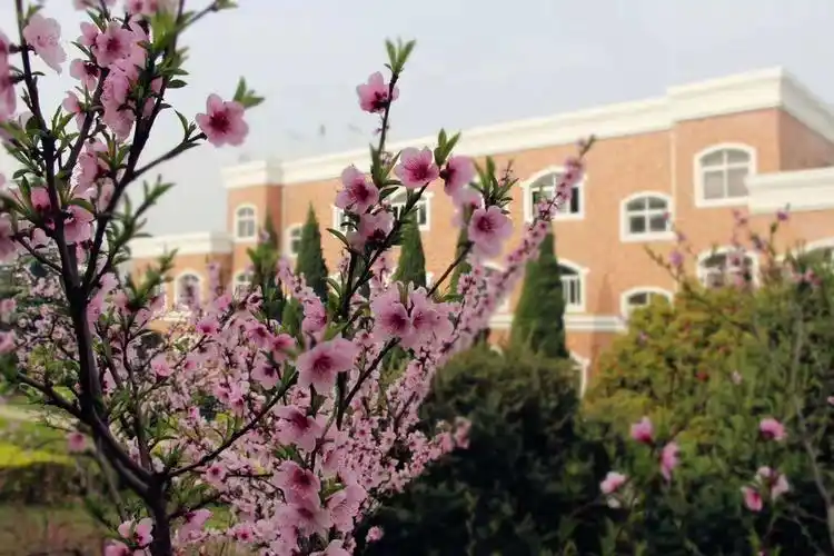 【西安交通运输学校官网】正规铁路院校_铁路人才定向培养基地_无人机