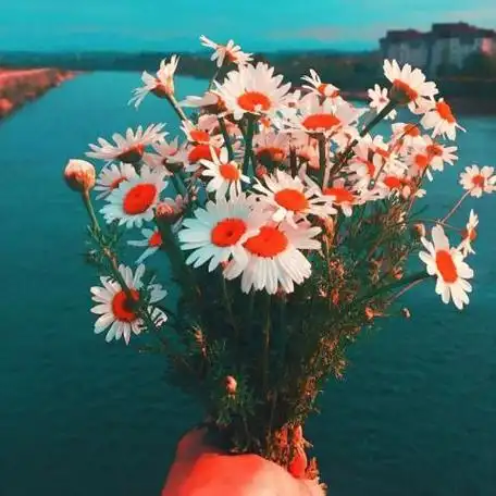 适合做快手头像风景只有岁月来能读懂