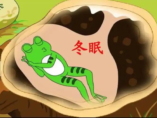 青蛙一边说一边刨好了一个大洞,青蛙说:"冬天住在洞里,既不怕风,也