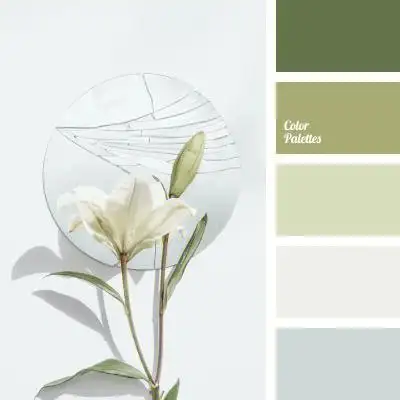 浅色系色彩搭配分享