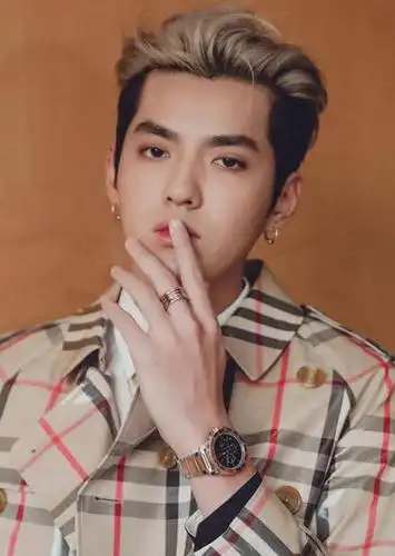 吴亦凡代言费_吴亦凡出场费_吴亦凡个人资料_上海珍娱传媒