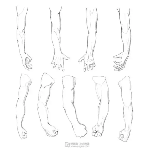 作业:如何学动漫插画之手臂的画法与训练技巧 - rh-3-169草野