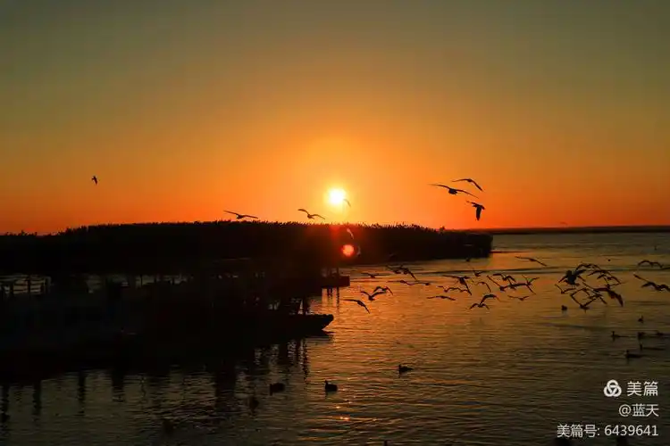其它 留住美好瞬间——居延海边看日出 写美篇拍摄:蓝天(李建军陕州区