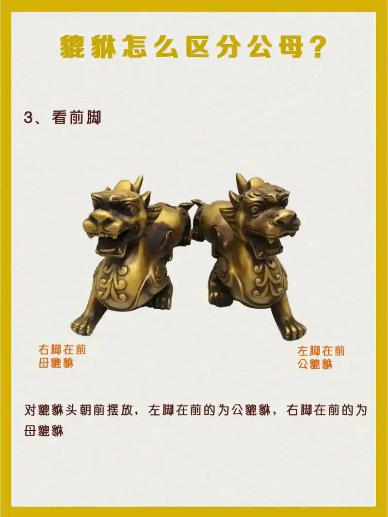 貔貅也有公母之分993种方法教你辨别公母 貔貅中的"貔"为雄性而"貅"