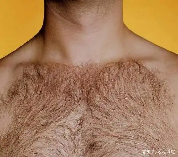 农村俗语"好男有毛万金重,好女无毛兴3代",这话啥意思呢?