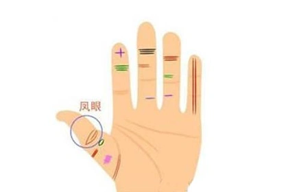 教你分辨凤眼纹和夫子眼的区别