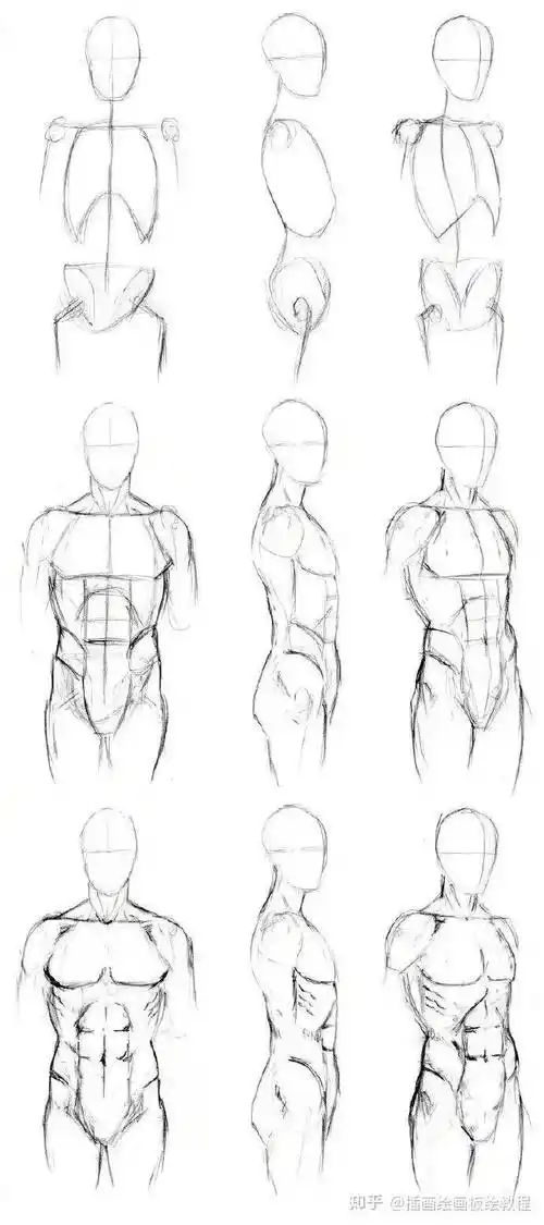 【成都清彩画影】动漫的肌肉怎么画?初学者教程!