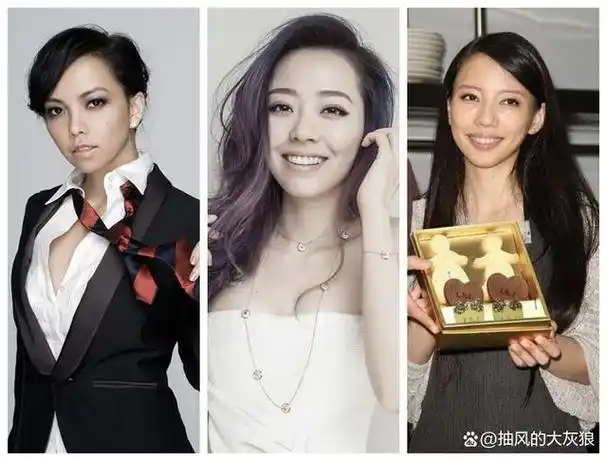 王力宏的前女友张惠妹,追求过的张靓颖和前妻李靓蕾↓郎朗的现任吉娜