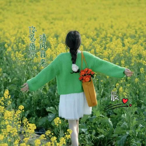 抖音快手直播绿色花海美女姓氏头像背景图片素材psd模板设计制作