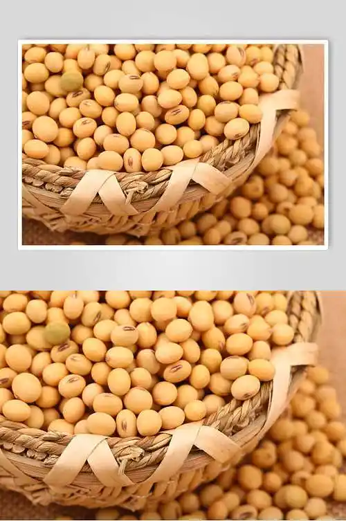 黄豆食品图片