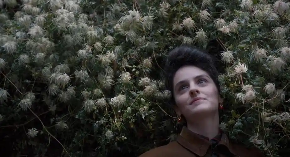 《珍品》————这肉体,并不如情!