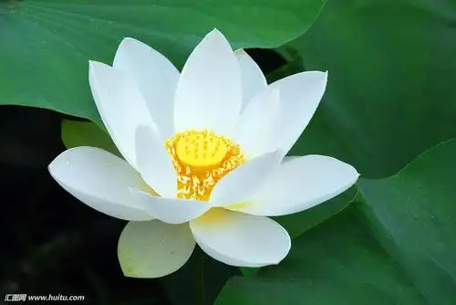 妈妈得了重病我泪崩了