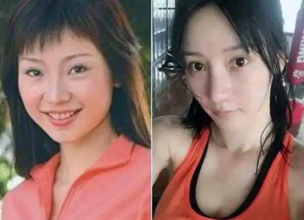 喜讯!柳岩整容前"沧海一粟"-第1张图片-羊备网