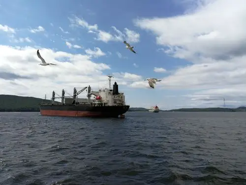 金角湾波涛汹涌,海鸥相伴翱翔,碧海蓝天下心与海鸥一齐飞