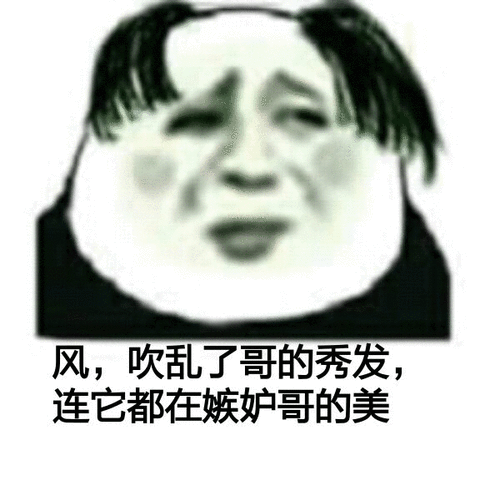 风吹乱了哥的秀发,连它都在嫉妒哥的美_吹乱_秀发_嫉妒表情