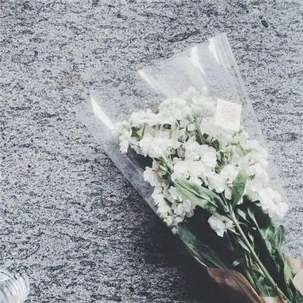 2022网红ins风背景图简单 简约好看的朋友圈封面图-背景图片