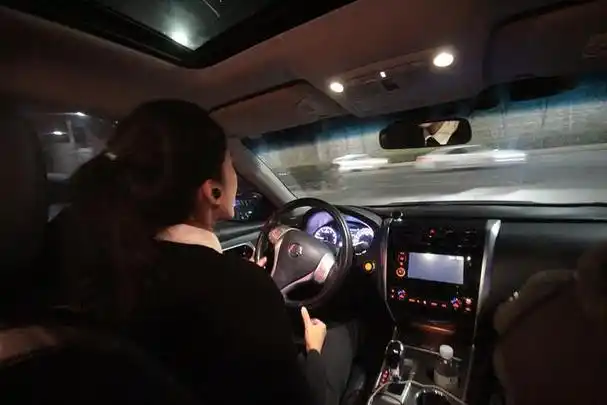 深夜,老婆带着一个男子开车出门了.