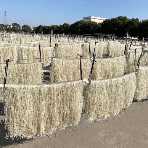 江苏特产淮安赵集粉丝红薯山芋粉条10斤装