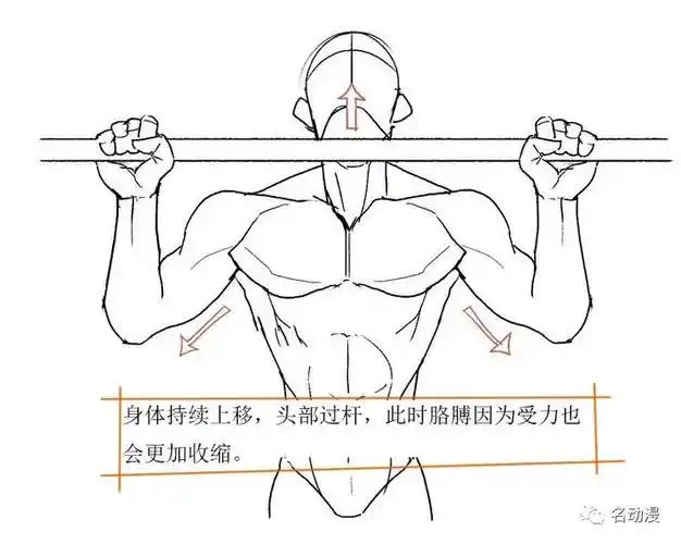 每日一练肌肉男的标志性动作画法