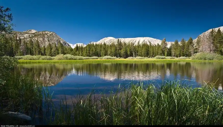 【自然之美】再发一些我收集的各种风景壁纸,适合高品位的用户