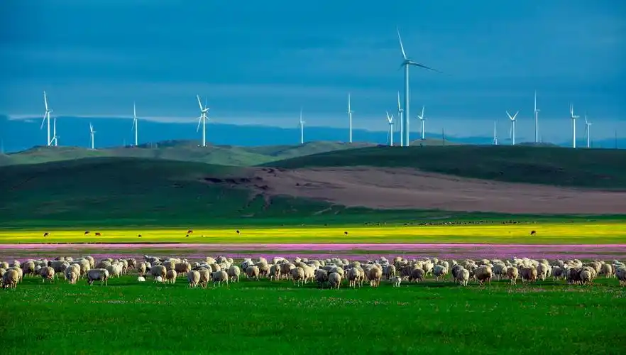 内蒙古阿鲁科尔沁草原游牧系统正式认定为全球重要农业文化遗产
