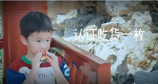 黄磊儿子首次曝光正面照遗传了二人的优秀基因长得眉目清秀