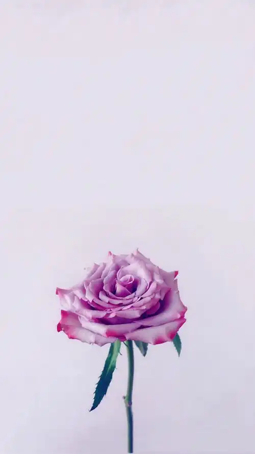 自拍的一组手机屏保