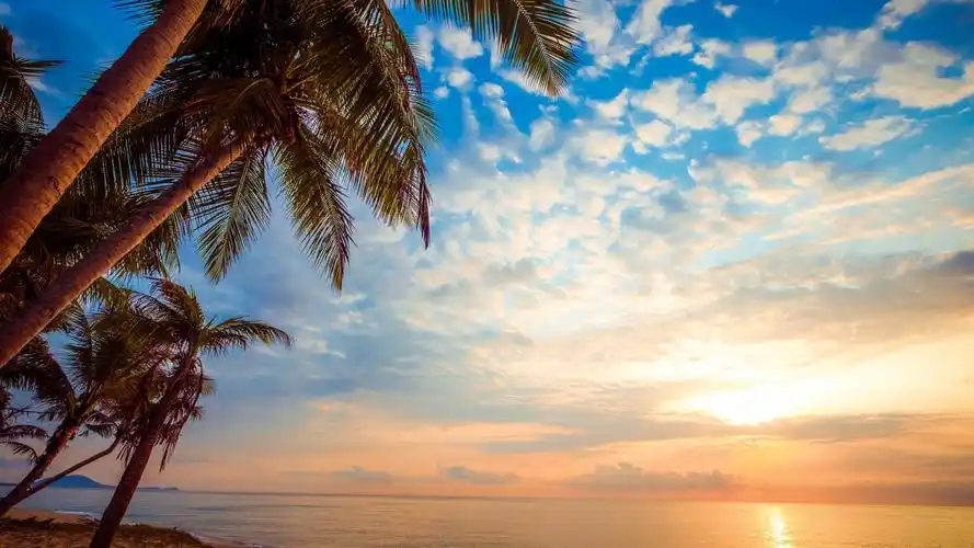 夏日沙滩享受日光浴,风景-回车桌面