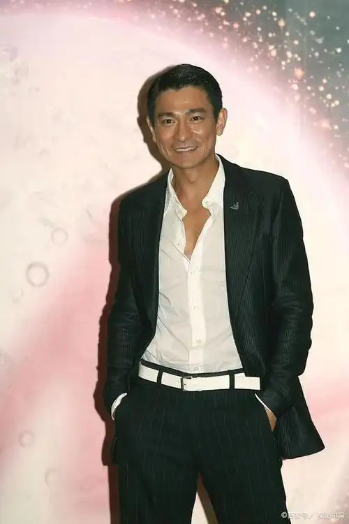 同时也引发了对刘德华家庭和他个人生活的关注