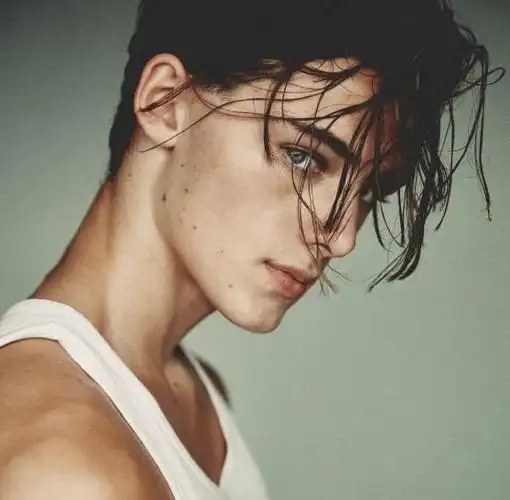 惊艳接棒阿兰德龙6年前火遍全球的世界第一帅卷土重来