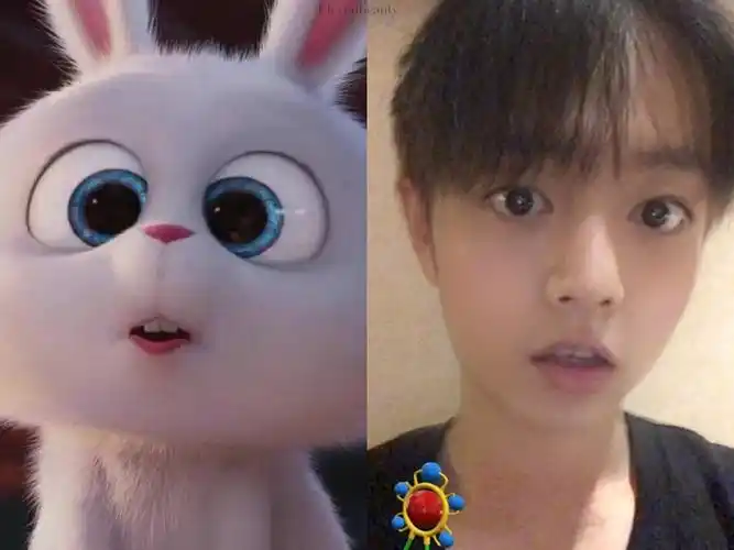 肖战兔兔表情包