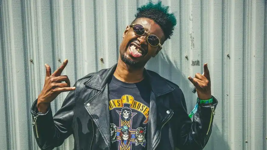 039; roses,danny brown,rapper,guns n&039; roses,壁纸,高清