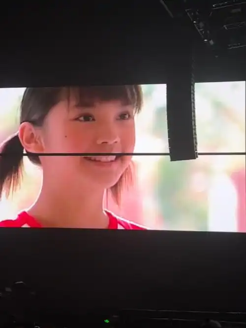 从《流星花园》《恶魔在身边》《换换爱》《不良笑花》《海派甜心》