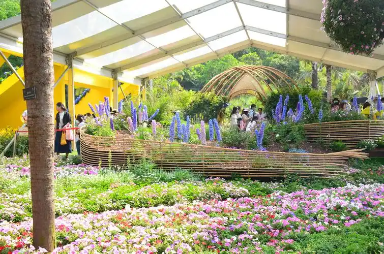 2021粤港澳大湾区深圳花展