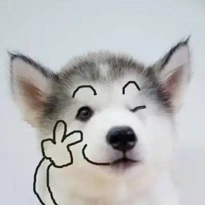 可爱狗狗情侣头像图片