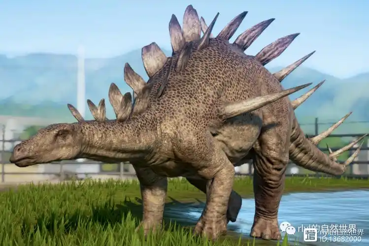 【恐龙探索】进化刺头——肯氏龙!