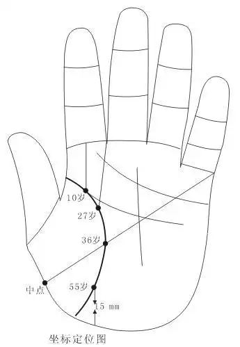 长寿型手相有啥特点?_生命线