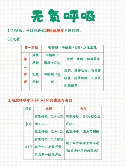 无氧呼吸这么记分数猛涨到9004