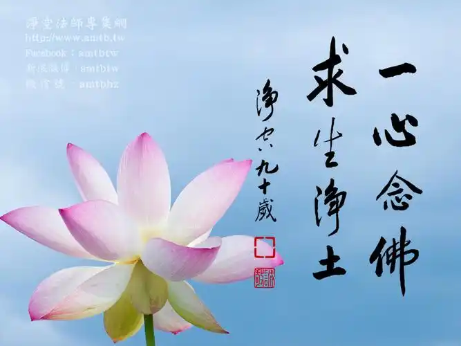 一句阿弥陀佛,不能改变(净空老和尚开示)