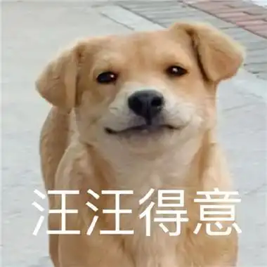 逗人开心又撩人表情包 我叫你一声老婆你敢答应吗_3