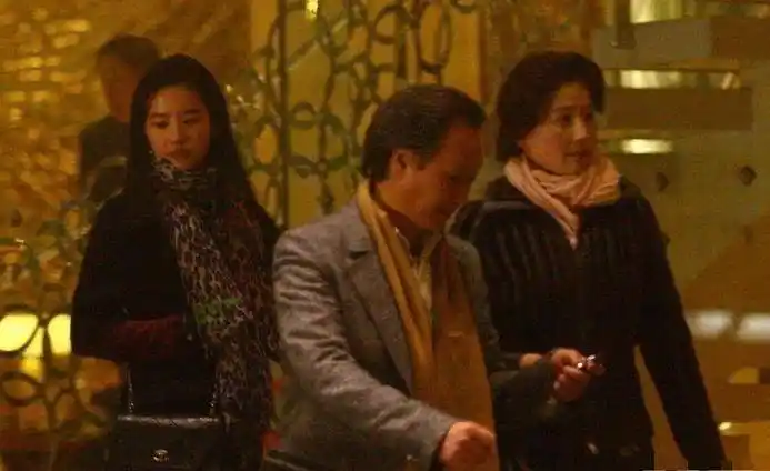 原创33岁刘亦菲靠干爹陈金飞跻身一线为何如今却不红了