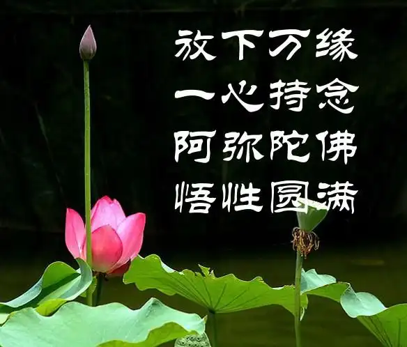 问:请问弟子该如何做才会万缘放下,一心念佛?