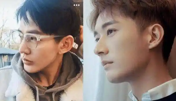 欢瑞艺人也"撞脸",赵樱子撞脸田海蓉,成毅刘学义撞脸人气小生_俩人