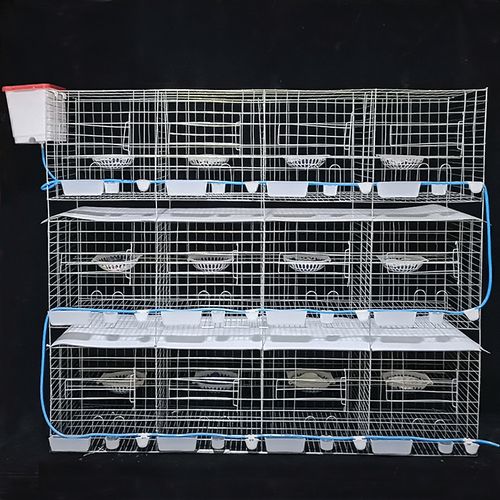 鸽子包邮大号加粗用品12位16位养殖肉鸽繁殖笼子