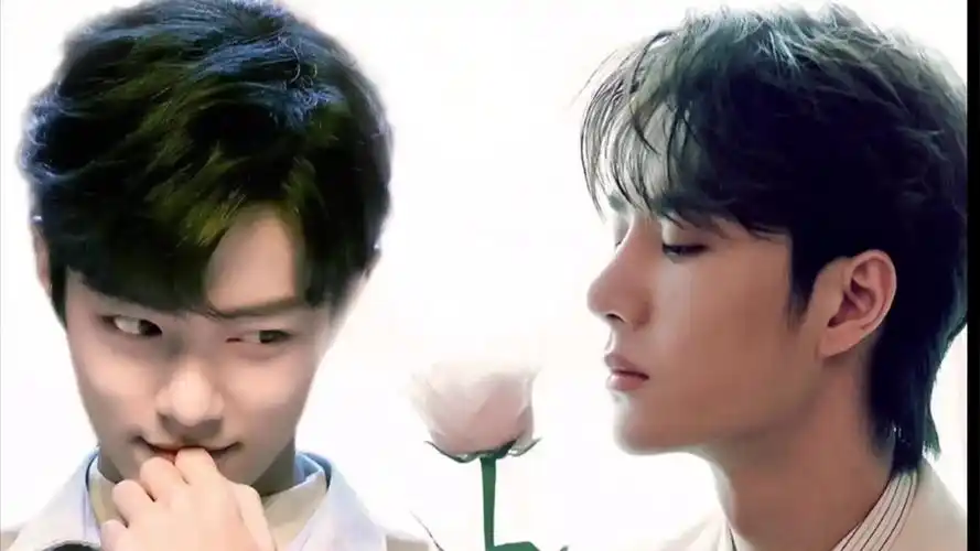 夺情8博君一肖圣主叽老祖羡