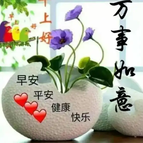 亲爱的早安,周末愉快,愿你越活越年轻,越来越漂亮,周日吉祥 - 抖音