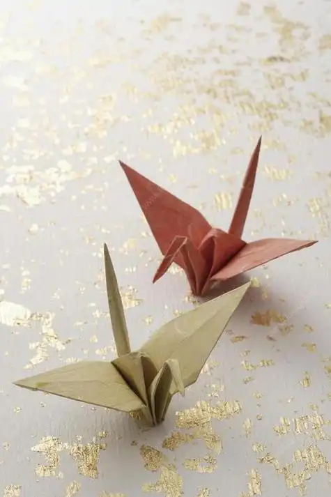 为什么说千纸鹤不能乱送,千纸鹤为什么是情感寄托的意思